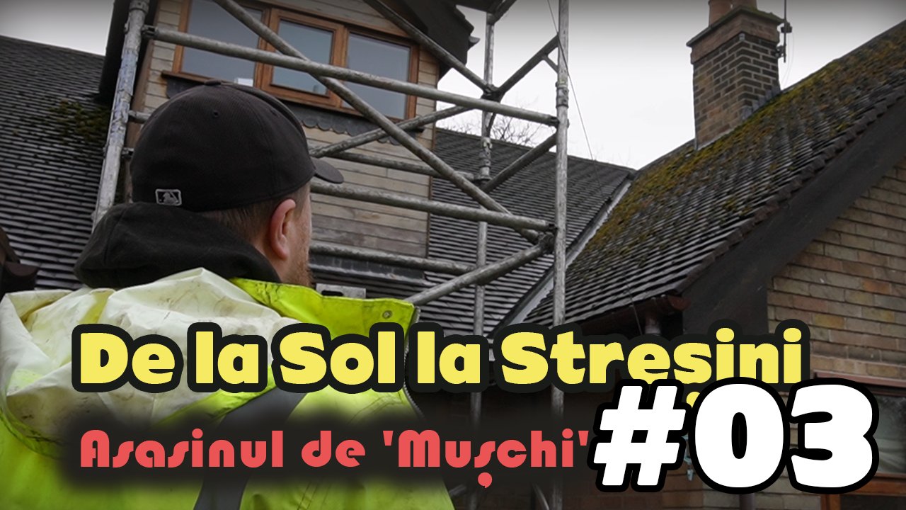De la Sol la Streșini – Vlog cu Asasinul de ‘Mușchi’! | Vlog #03